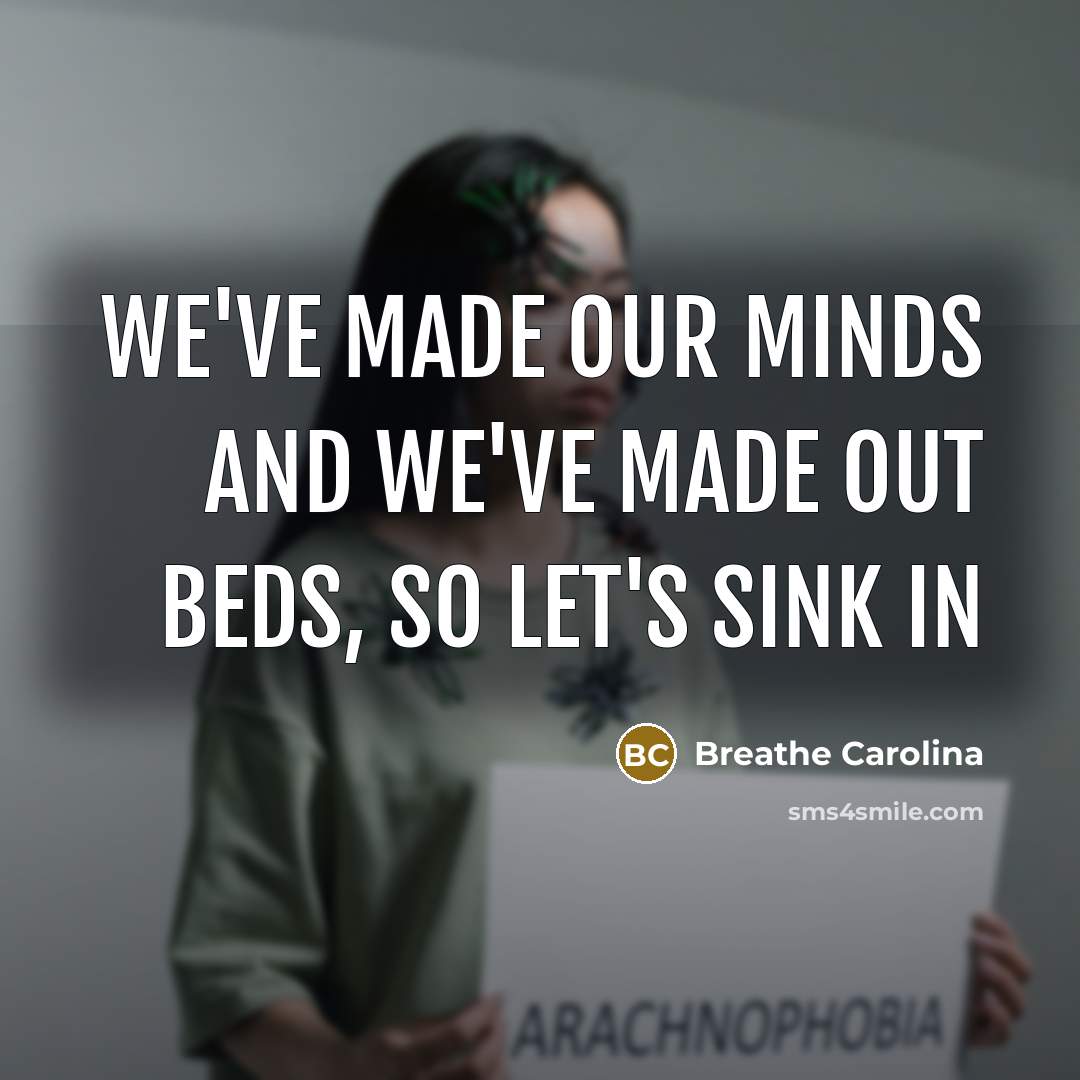 “We've made our minds and we've made out beds, so let's sink in” quote by Breathe Carolina