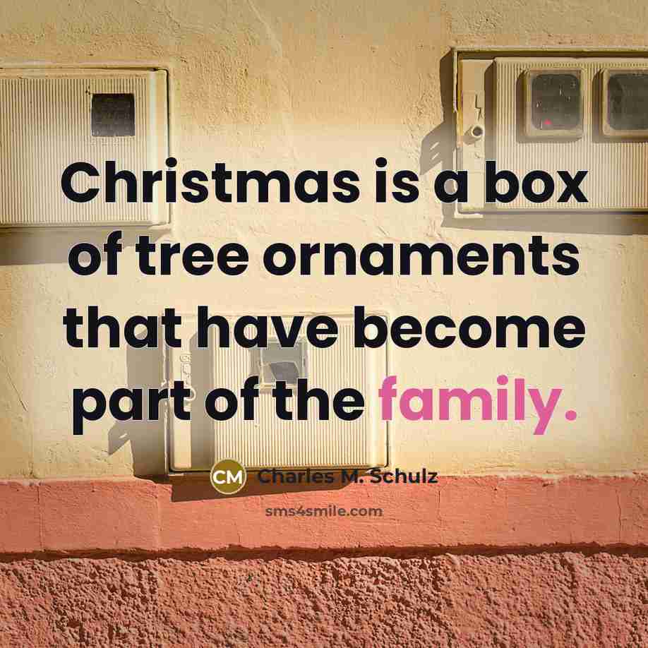 “Christmas is a box of tree ornaments that have become…” quote by Charles M. Schulz