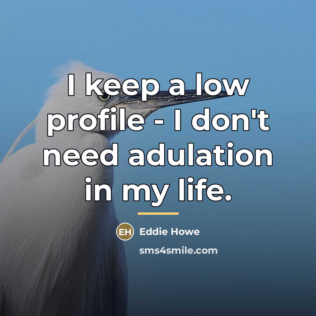 “I keep a low profile - I don't need adulation…” quote by Eddie Howe