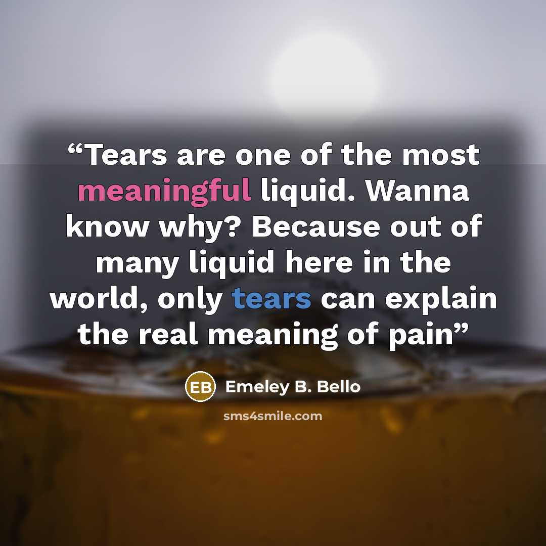 “Tears are one of the most meaningful liquid. Wanna know why? Because out of many liquid here in the world, only tears can explain the real meaning of pain” quote by Emeley B. Bello