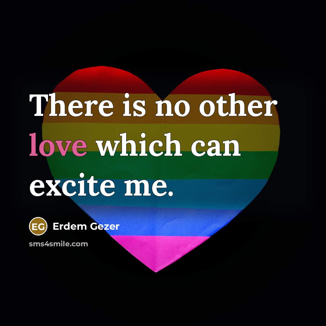 “There is no other love which can excite me.…” quote by Erdem Gezer