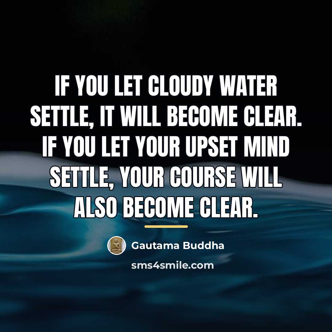 “If you let cloudy water settle, it will become clear.…” quote by Gautama Buddha