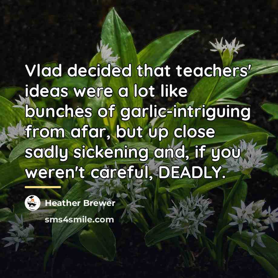 “Vlad decided that teachers' ideas were a lot like bunches…” quote by Heather Brewer
