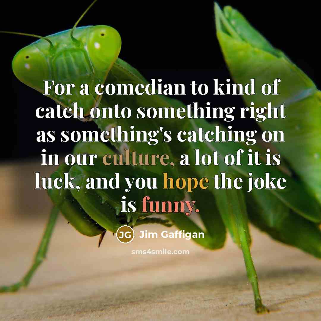 “For a comedian to kind of catch onto something right…” quote by Jim Gaffigan