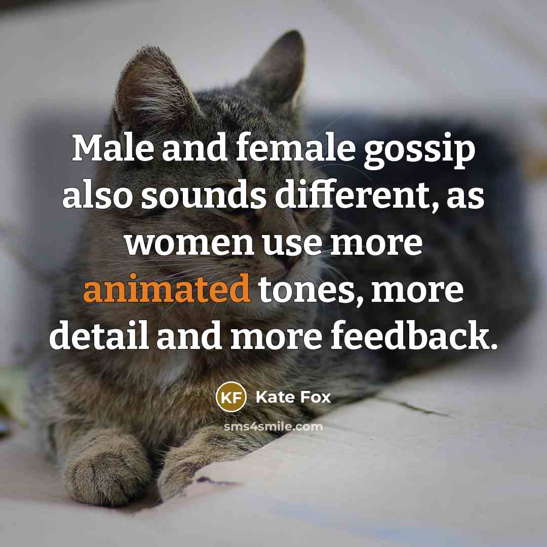 “Male and female gossip also sounds different, as women use…” quote by Kate Fox