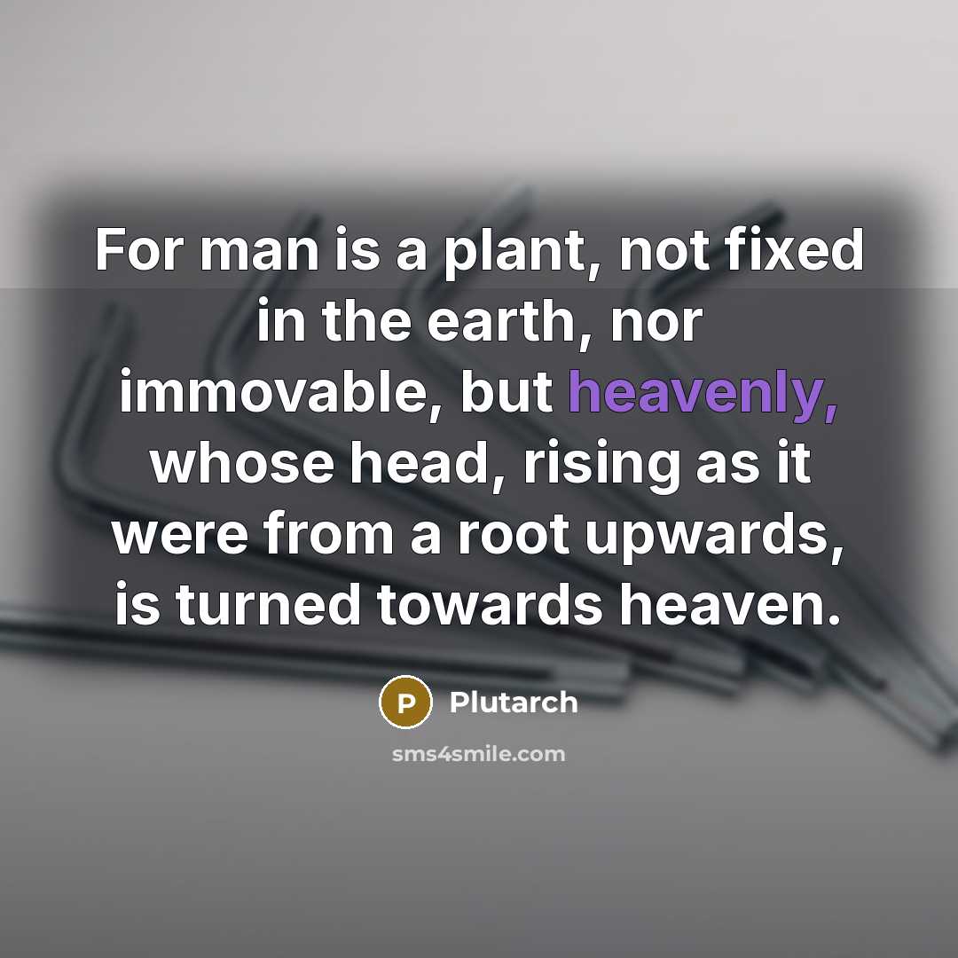 “For man is a plant, not fixed in the earth,…” quote by Plutarch