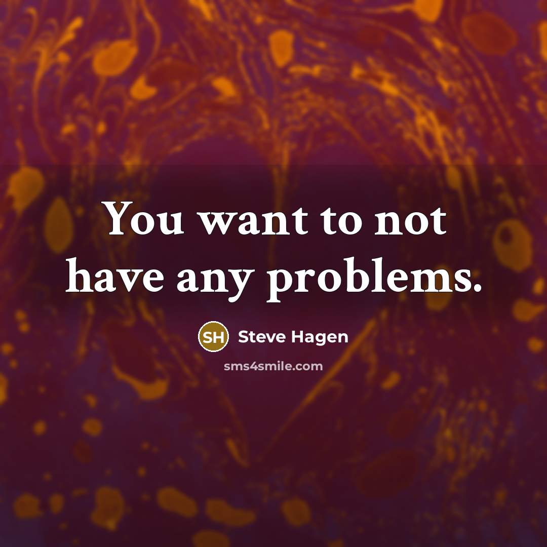 “You want to not have any problems.…” quote by Steve Hagen