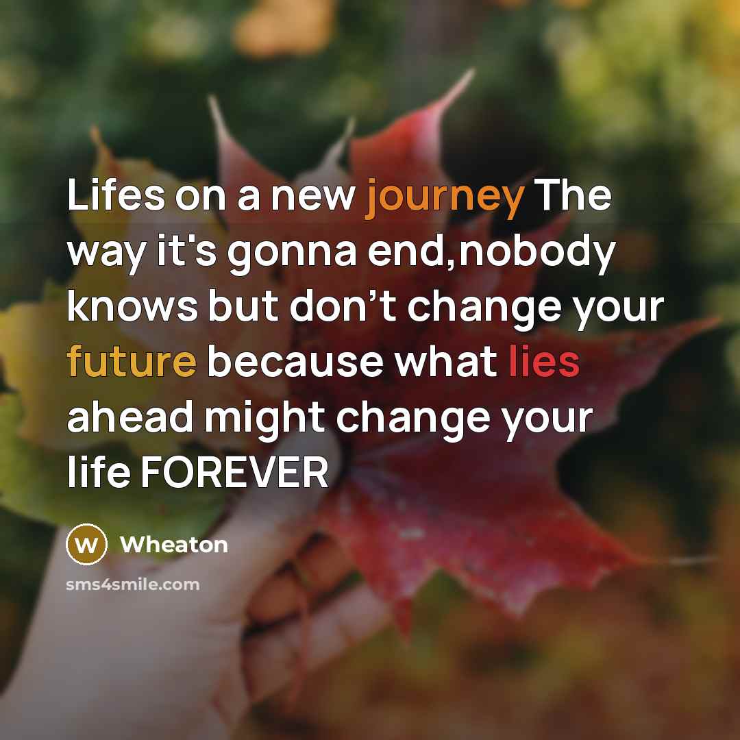 “Lifes on a new journey The way it's gonna end,nobody…” quote by Wheaton