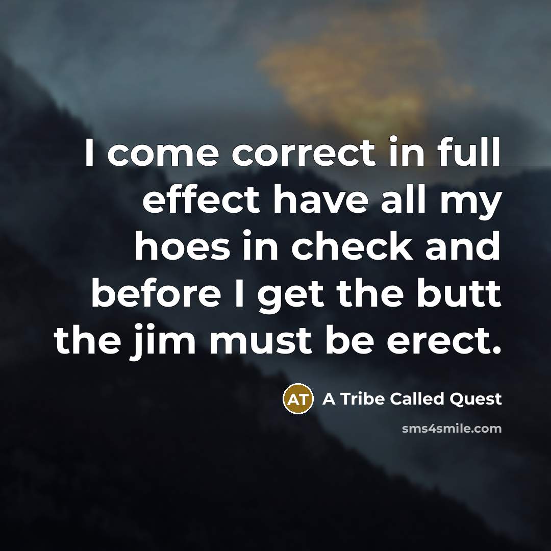 “I come correct in full effect have all my hoes in check and before I get the butt the jim must be erect.” quote by A Tribe Called Quest