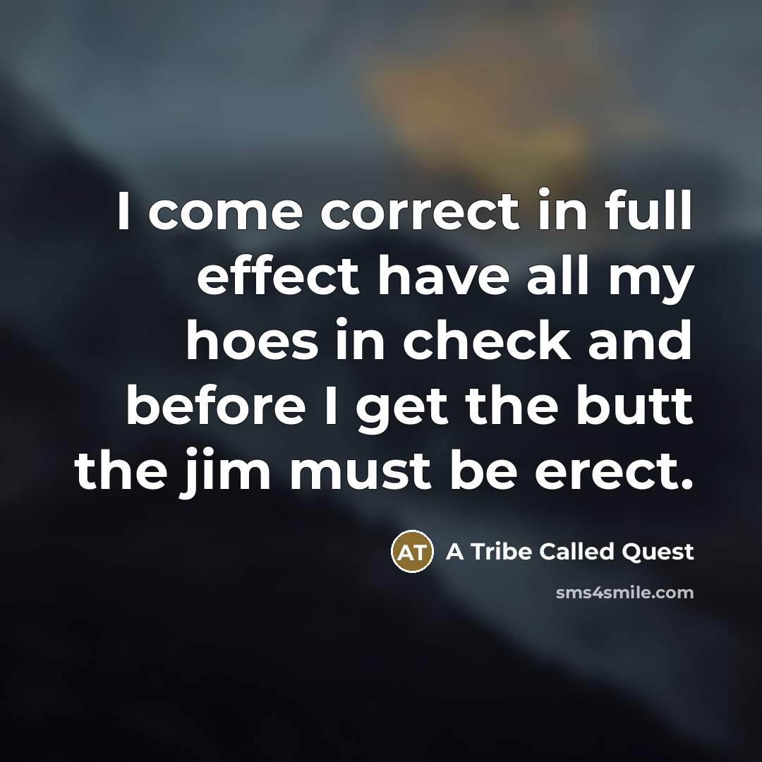 “I come correct in full effect have all my hoes…” quote by A Tribe Called Quest
