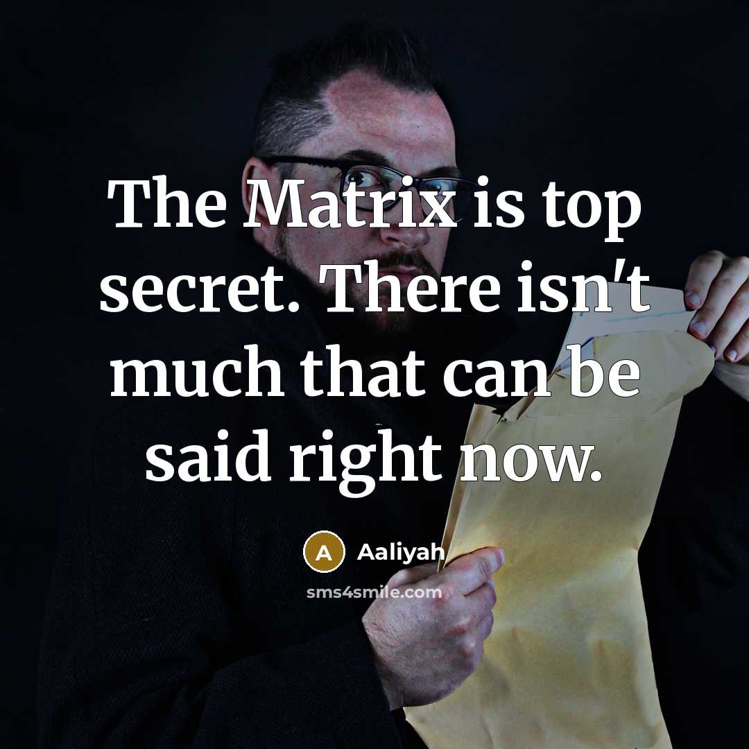 “The Matrix is top secret. There isn't much that can…” quote by Aaliyah