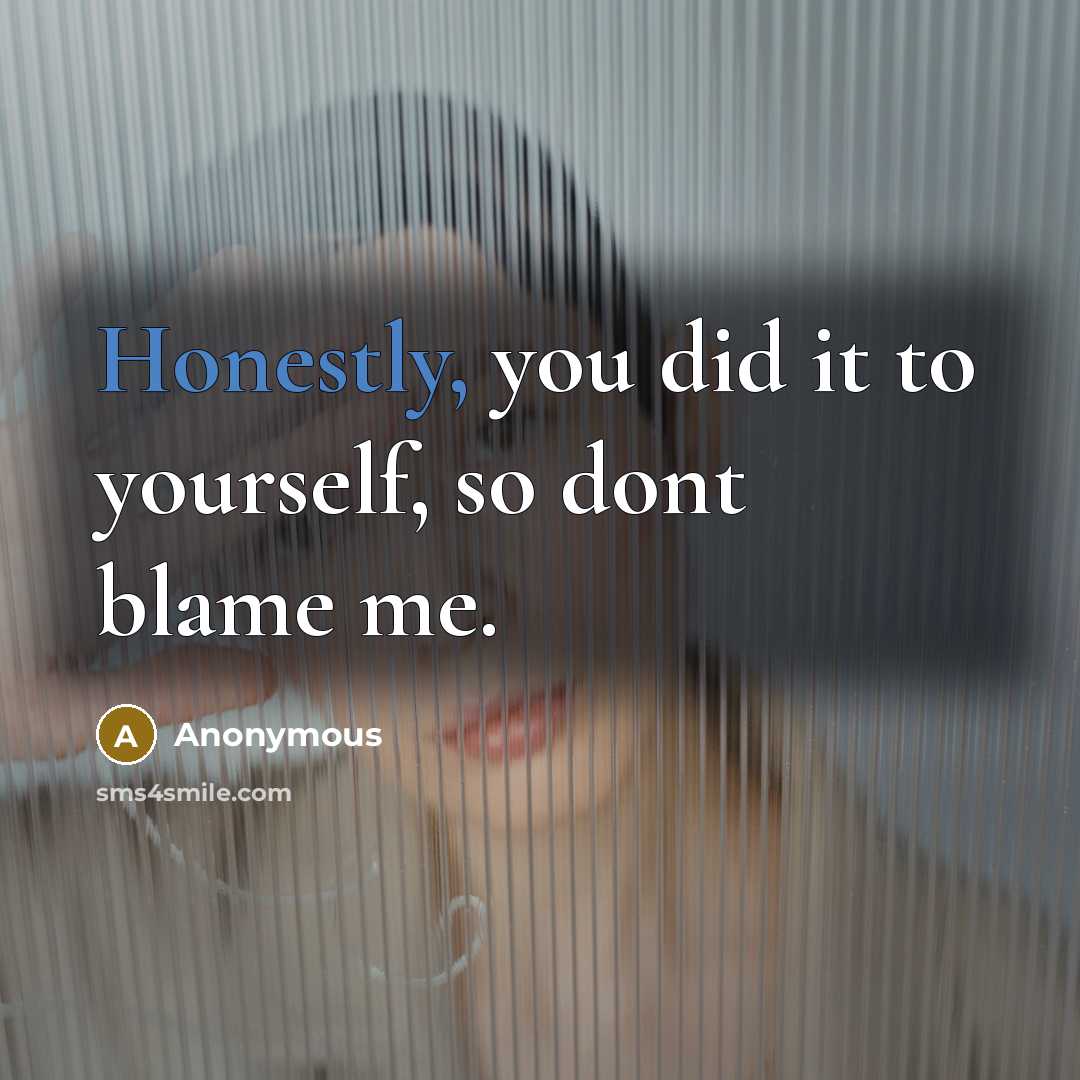“Honestly, you did it to yourself, so dont blame me.” quote by Anonymous