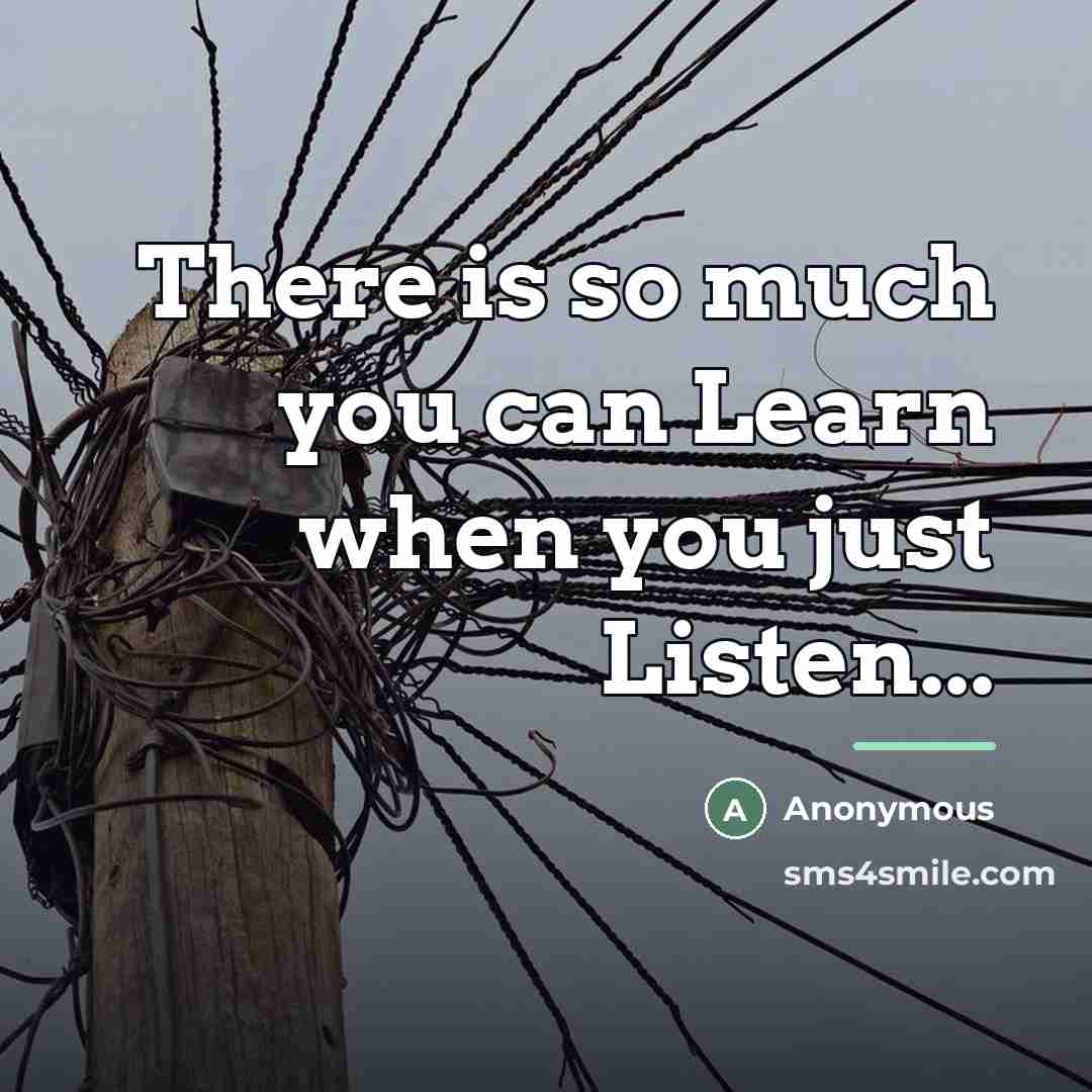 “There is so much you can Learn when you just…” quote by Anonymous