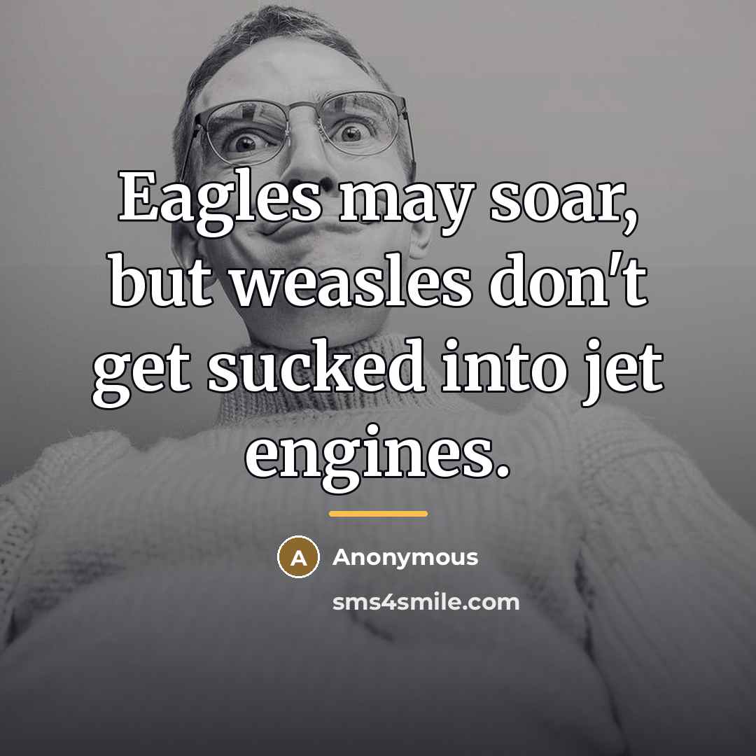 “Eagles may soar, but weasles don't get sucked into jet…” quote by Anonymous