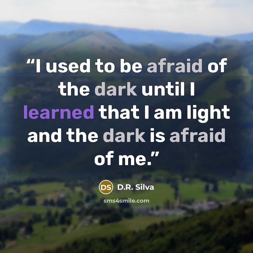 “I used to be afraid of the dark until I learned that I am light and the dark is afraid of me.” quote by D.R. Silva