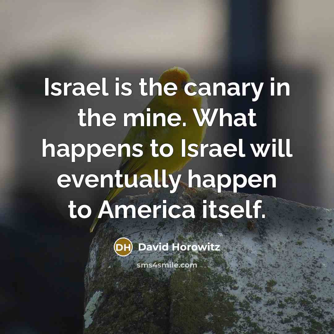 “Israel is the canary in the mine. What happens to…” quote by David Horowitz
