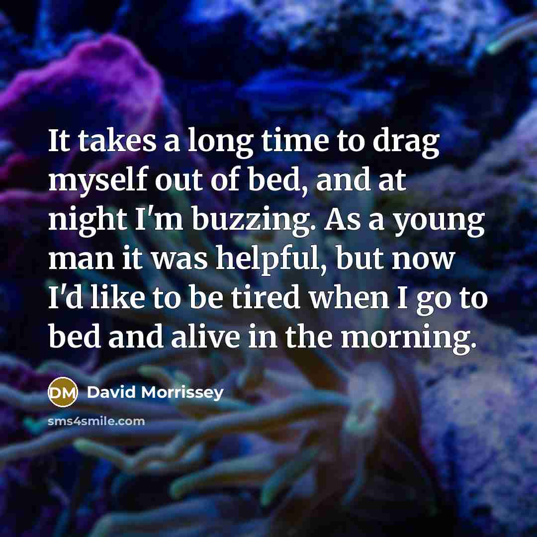 “It takes a long time to drag myself out of…” quote by David Morrissey
