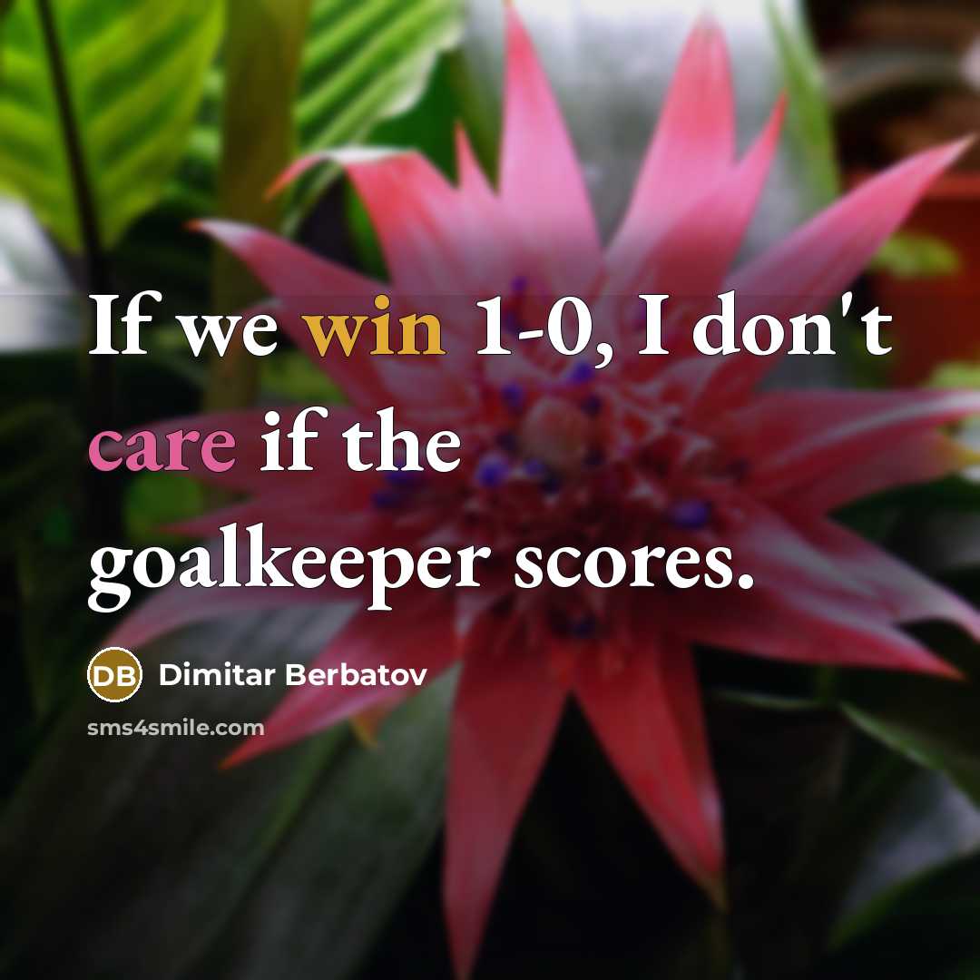 “If we win 1-0, I don't care if the goalkeeper…” quote by Dimitar Berbatov
