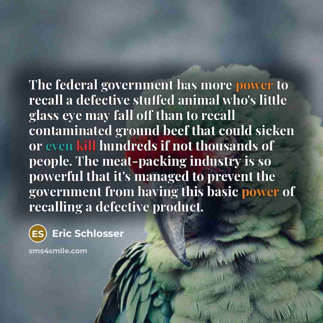 “The federal government has more power to recall a defective…” quote by Eric Schlosser