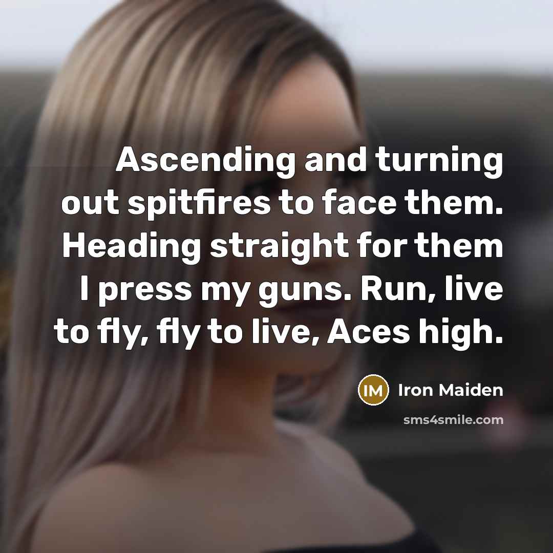 “Ascending and turning out spitfires to face them. Heading straight…” quote by Iron Maiden