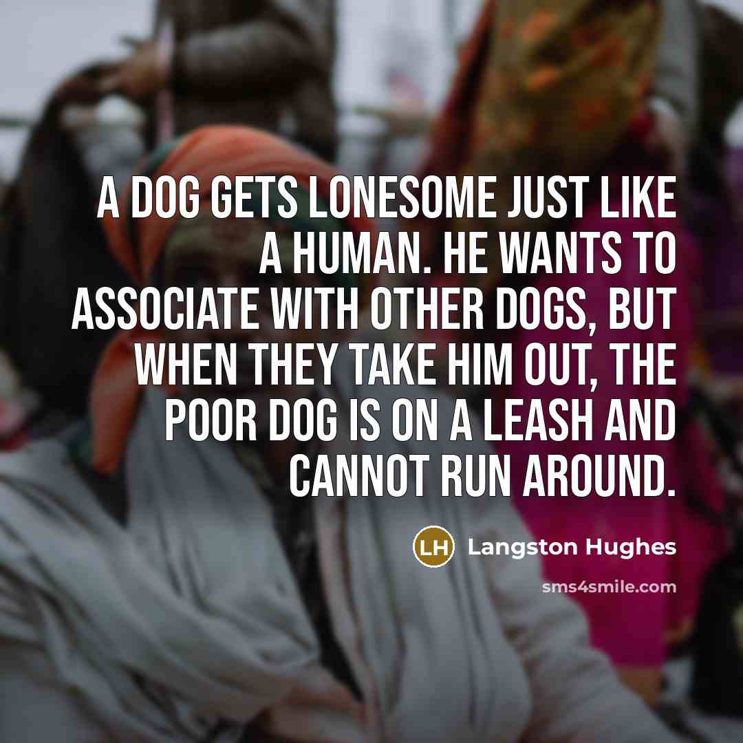 “A dog gets lonesome just like a human. He wants…” quote by Langston Hughes