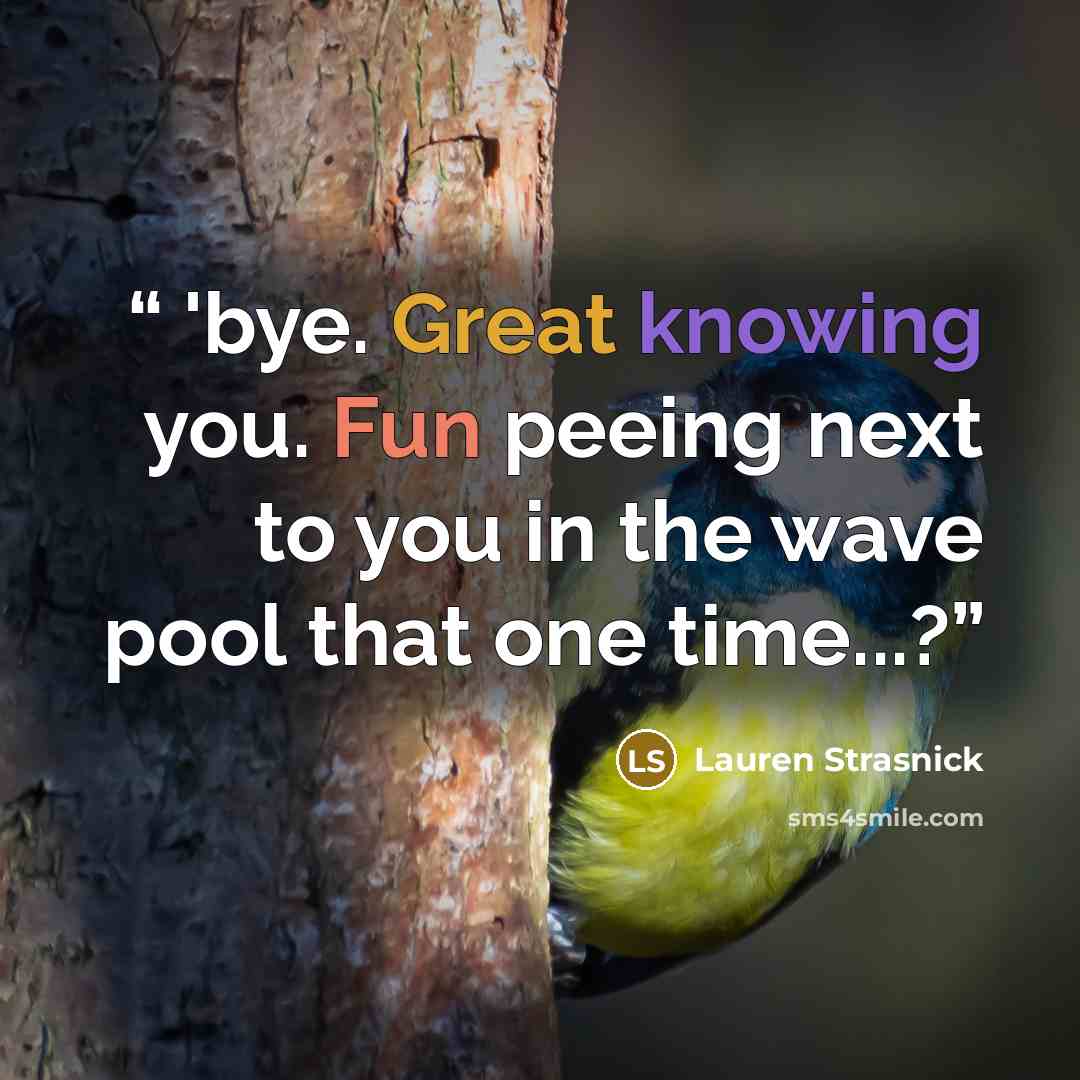 “'bye. Great knowing you. Fun peeing next to you in the wave pool that one time...?” quote by Lauren Strasnick