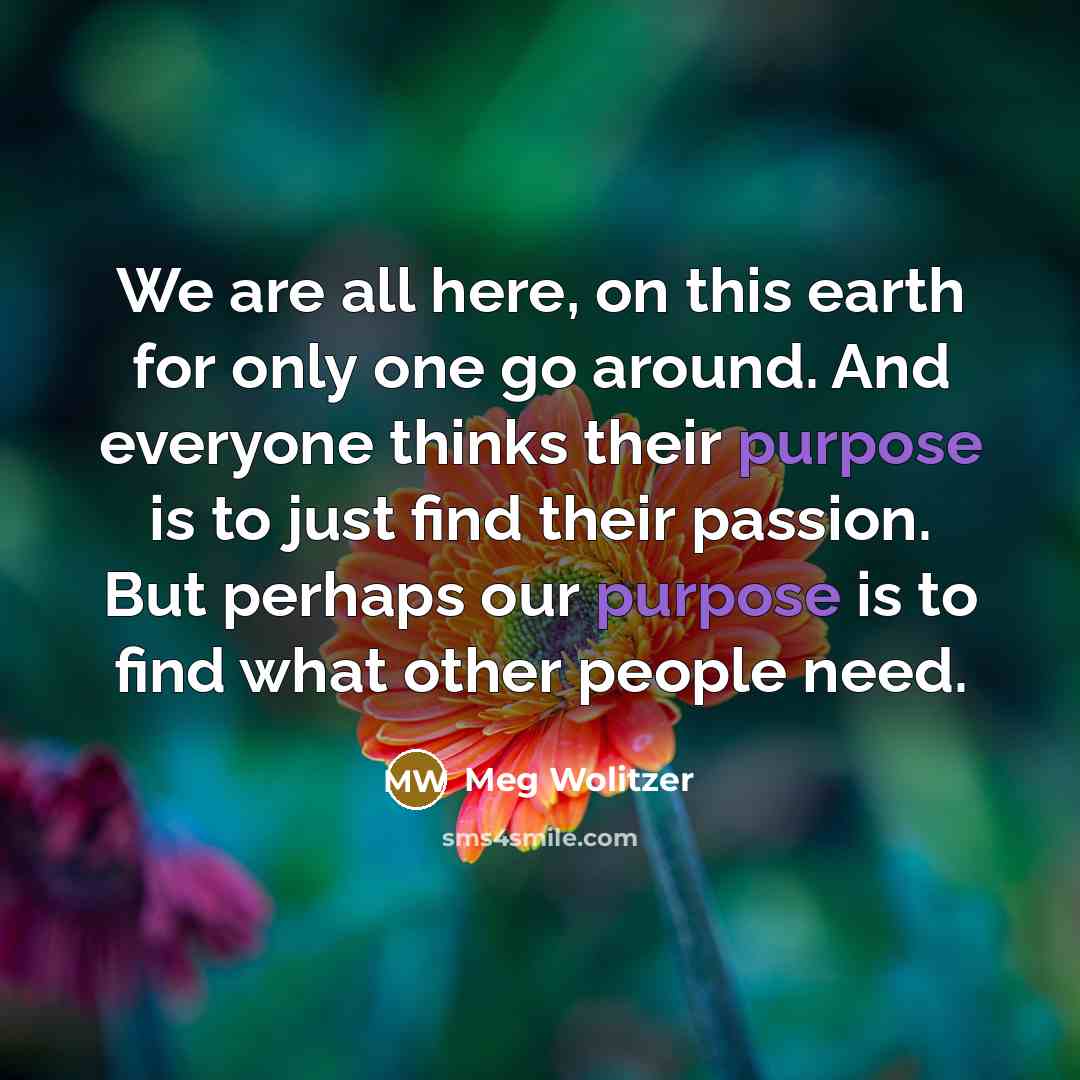“We are all here, on this earth for only one…” quote by Meg Wolitzer