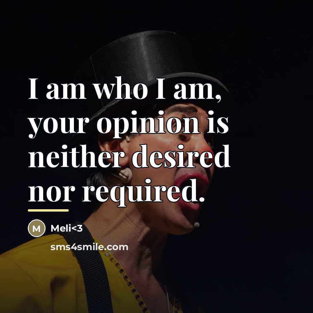 “I am who I am, your opinion is neither desired…” quote by Meli<3