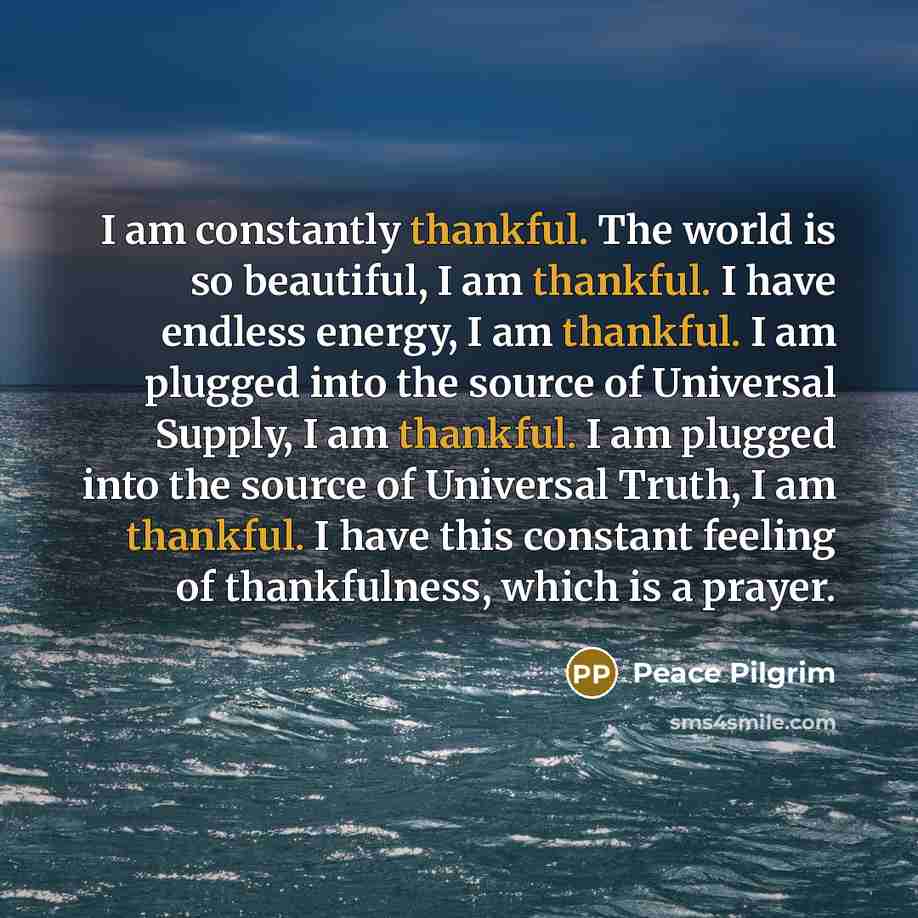 “I am constantly thankful. The world is so beautiful, I…” quote by Peace Pilgrim