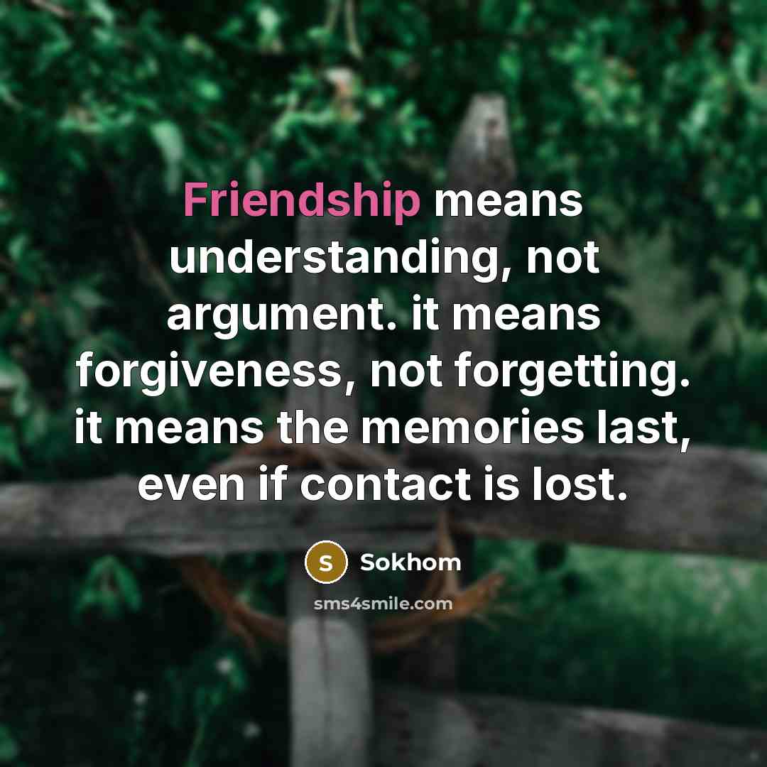 “Friendship means understanding, not argument. it means forgiveness, not forgetting.…” quote by Sokhom