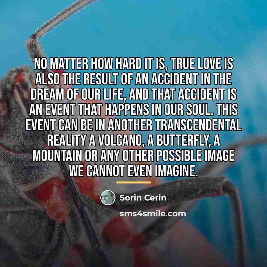 “No matter how hard it is, true love is also…” quote by Sorin Cerin