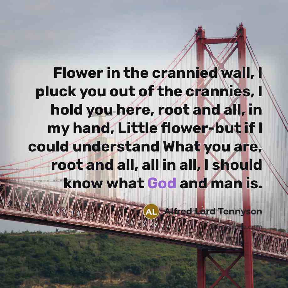 “Flower in the crannied wall, I pluck you out of…” quote by Alfred Lord Tennyson