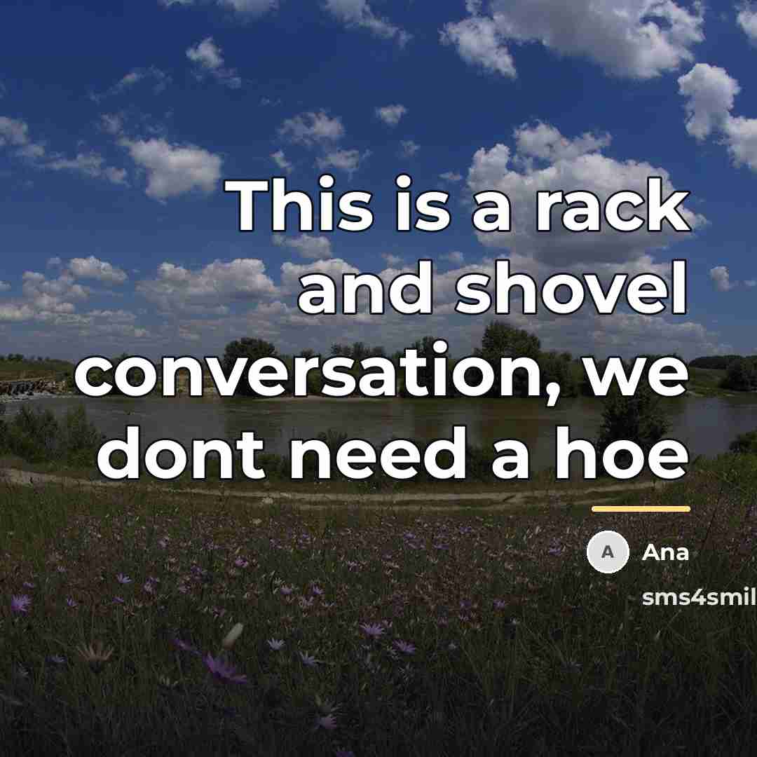“This is a rack and shovel conversation, we dont need…” quote by Ana