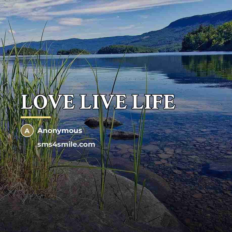 “LOVE LIVE LIFE…” quote by Anonymous