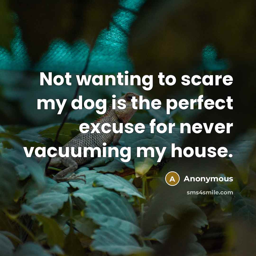 “Not wanting to scare my dog is the perfect excuse for never vacuuming my house.” quote by Anonymous