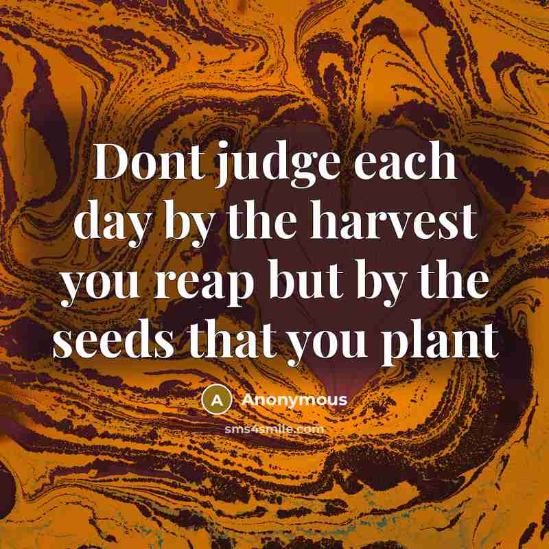 “Dont judge each day by the harvest you reap but by the seeds that you plant” quote by Anonymous