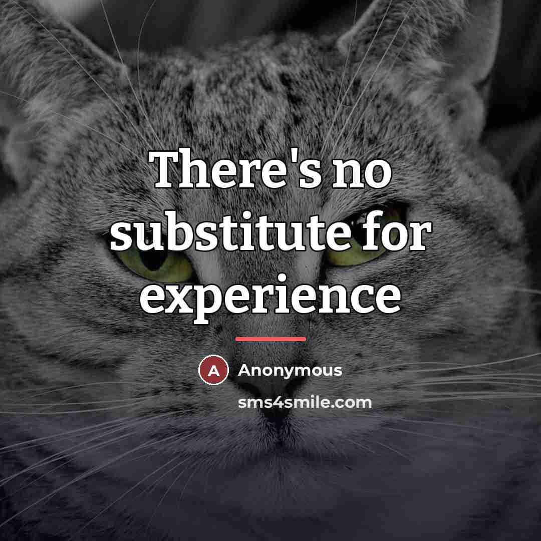“There's no substitute for experience…” quote by Anonymous
