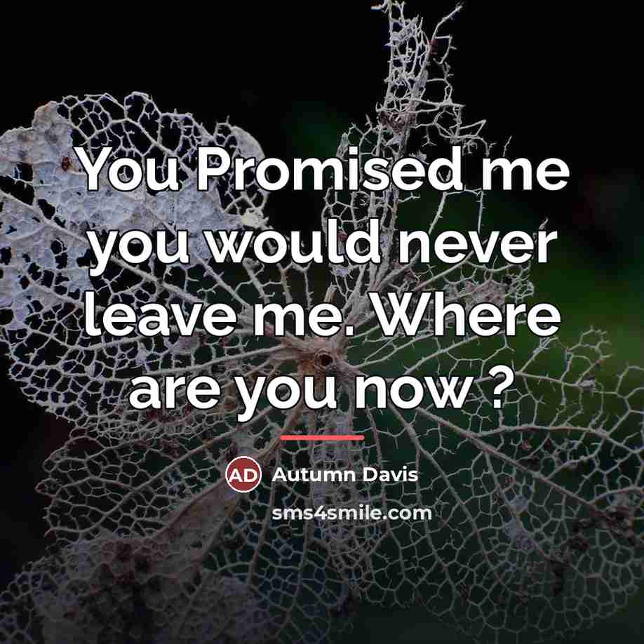 “You Promised me you would never leave me. Where are…” quote by Autumn Davis