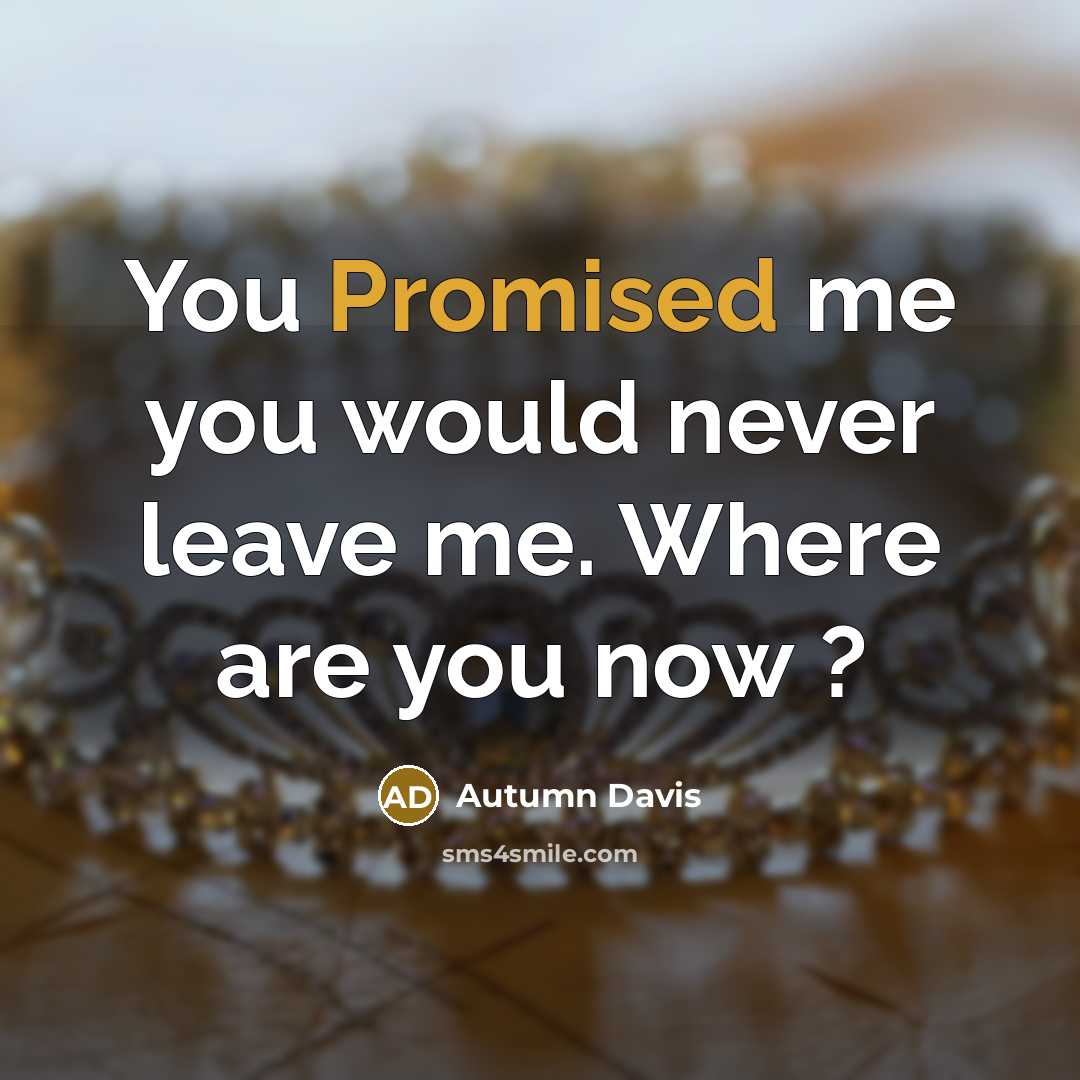 “You Promised me you would never leave me. Where are you now ?” quote by Autumn Davis