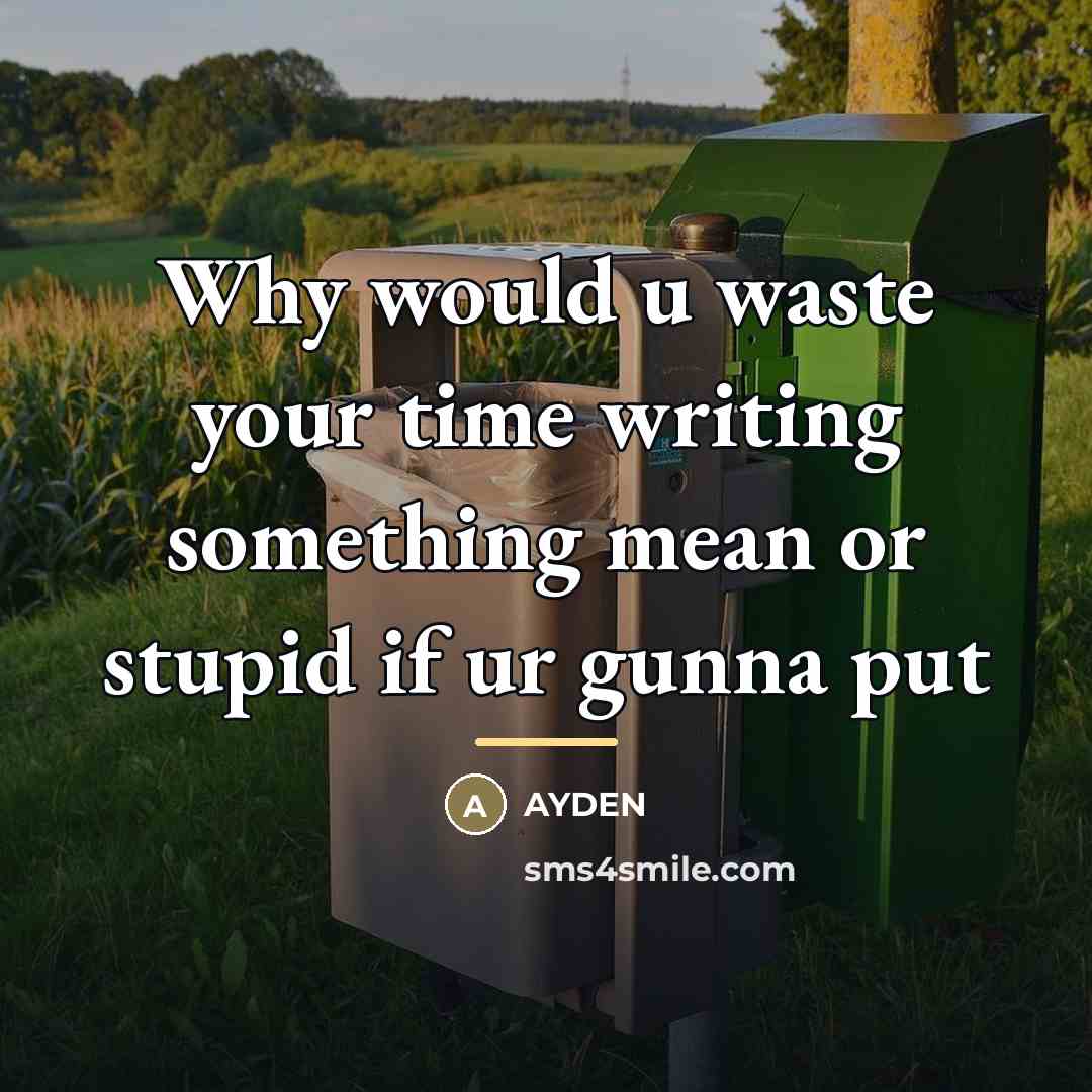 “Why would u waste your time writing something mean or…” quote by Ayden