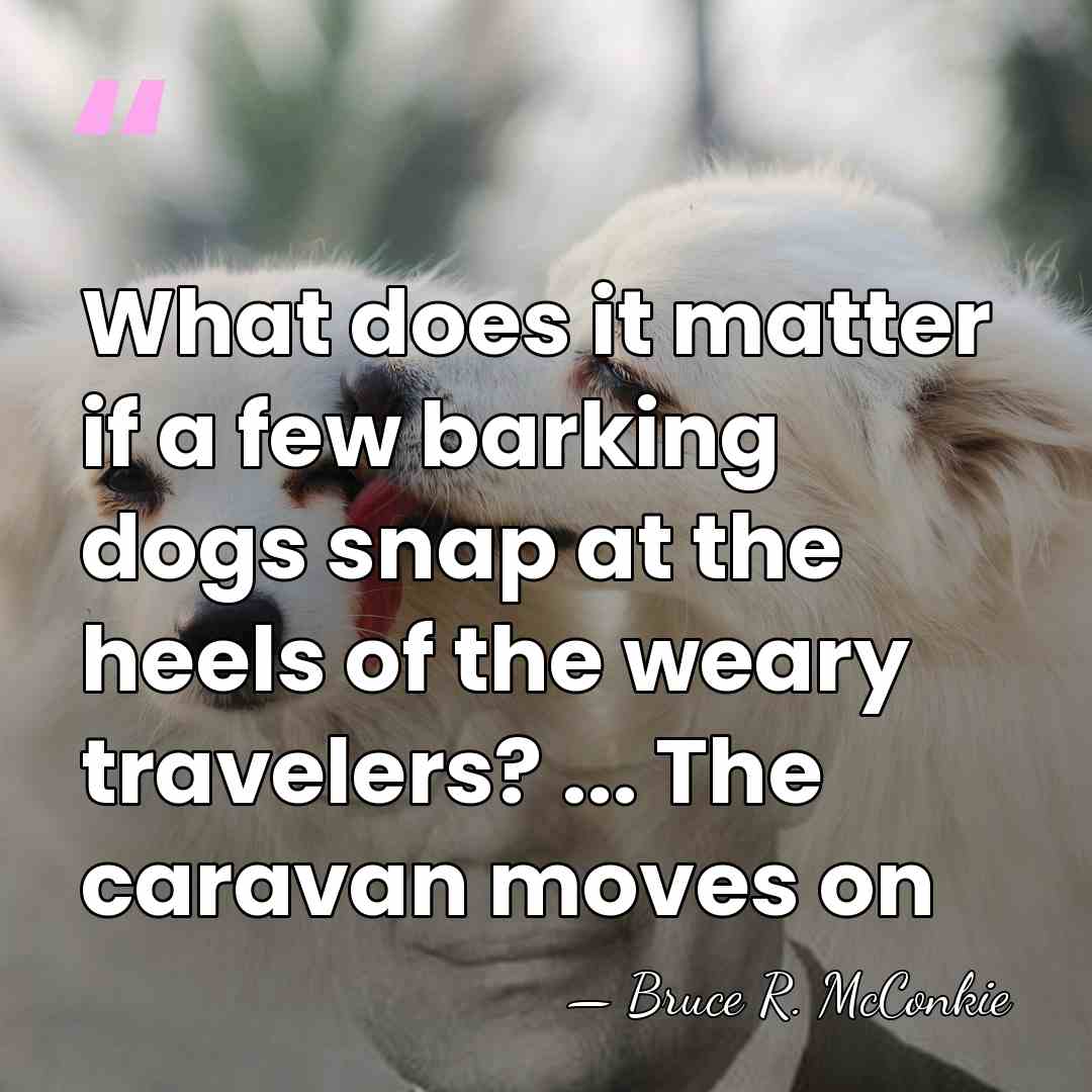 What does it matter if a few barking dogs snap at the&hellip; - Bruce R. McConkie