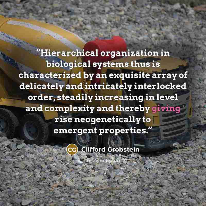 “Hierarchical organization in biological systems thus is characterized by an exquisite array of delicately and intricately interlocked order, steadily increasing in level and complexity and thereby giving rise neogenetically to emergent properties.” quote by Clifford Grobstein