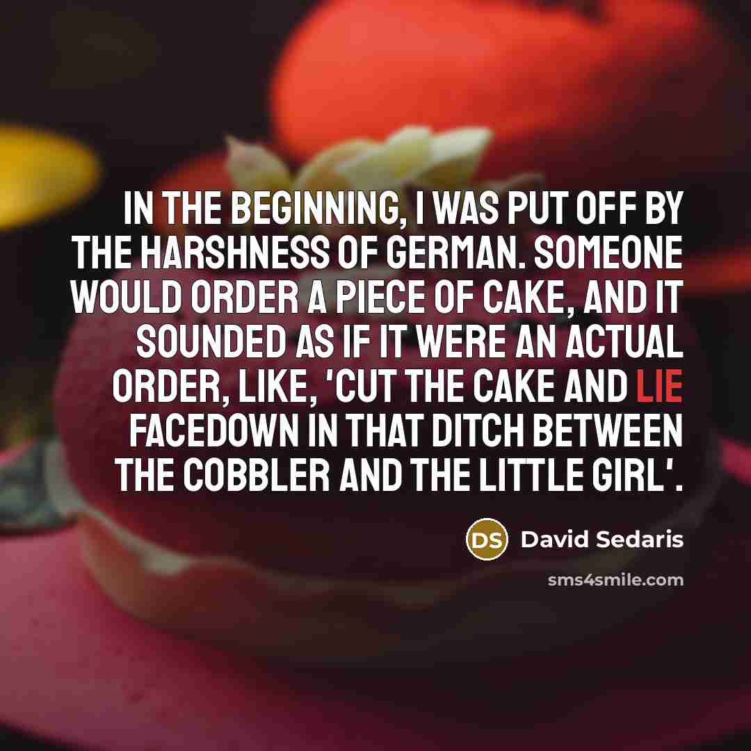 “In the beginning, I was put off by the harshness…” quote by David Sedaris
