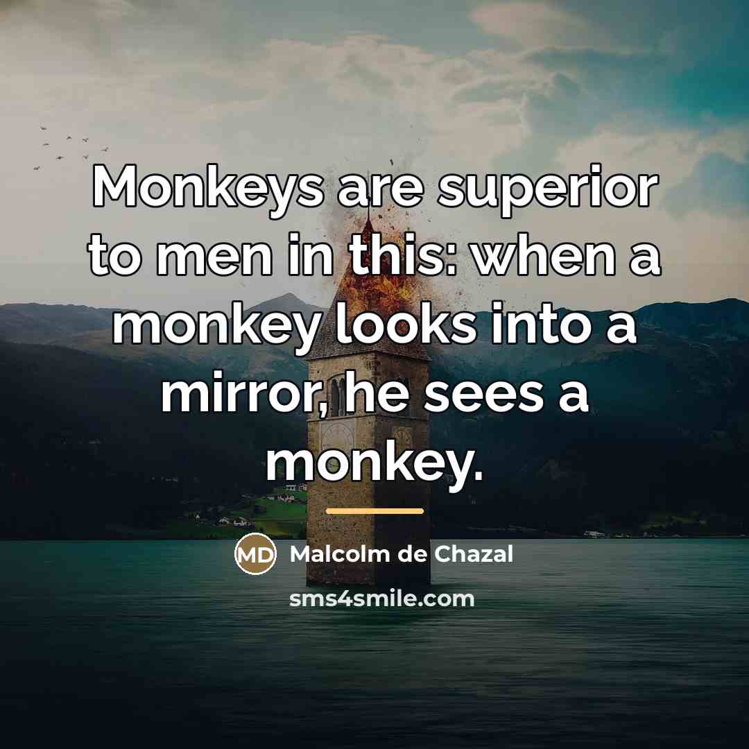 “Monkeys are superior to men in this: when a monkey…” quote by Malcolm De Chazal