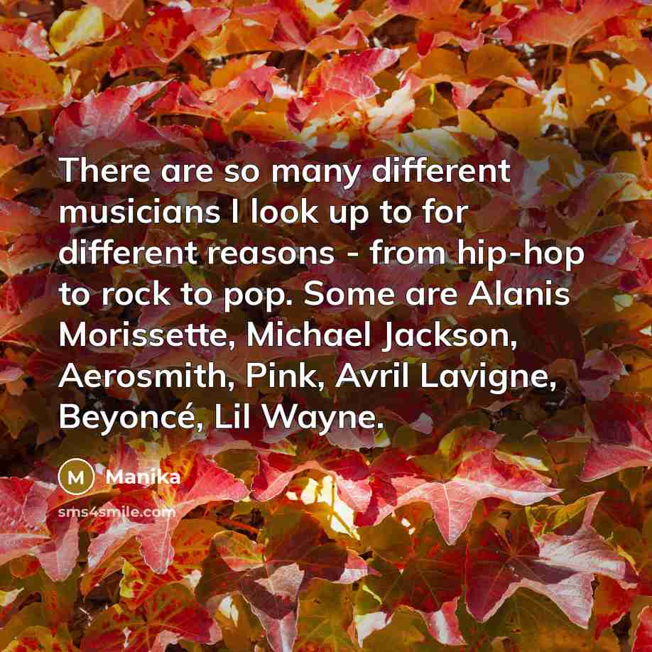 “There are so many different musicians I look up to…” quote by Manika