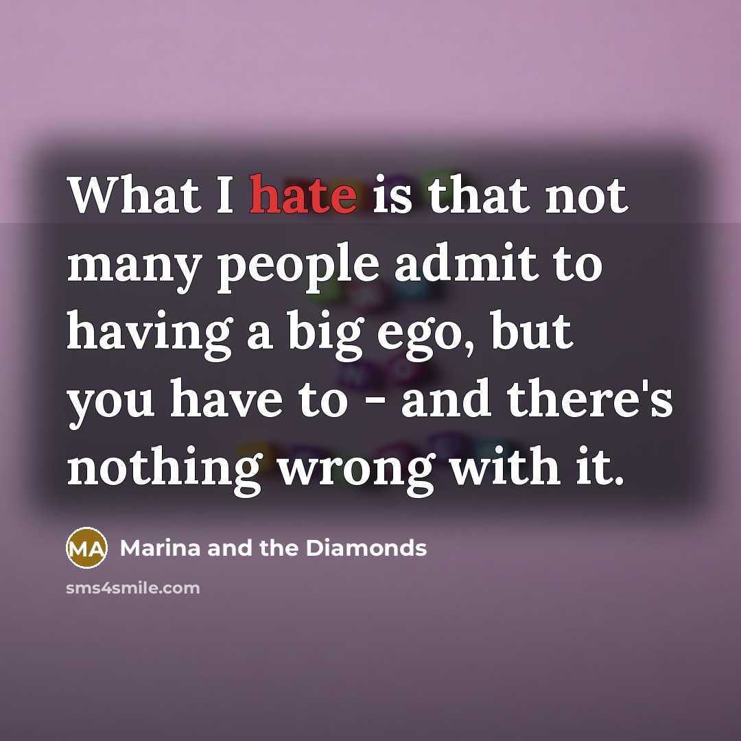 “What I hate is that not many people admit to…” quote by Marina and the Diamonds
