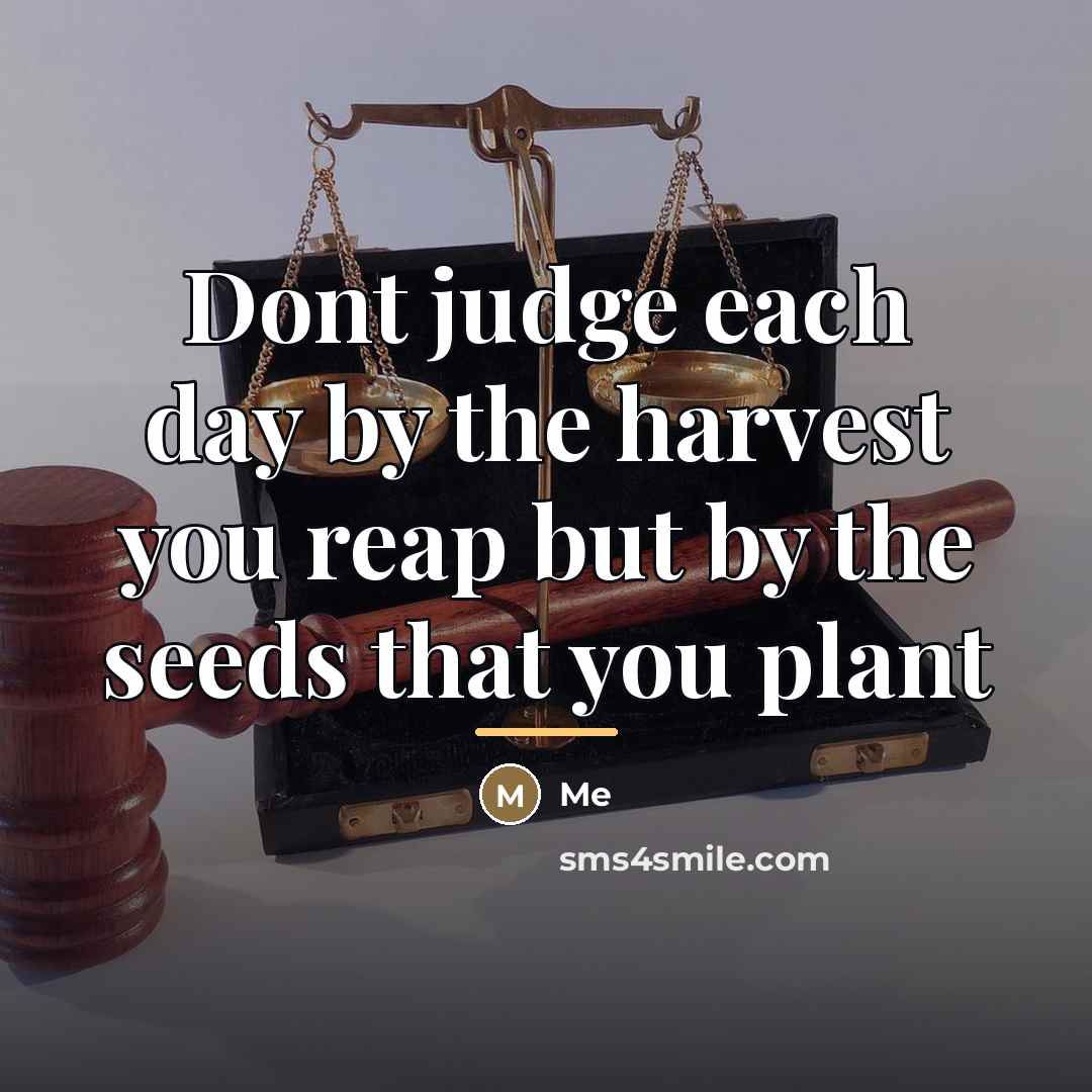 “Dont judge each day by the harvest you reap but…” quote by Me