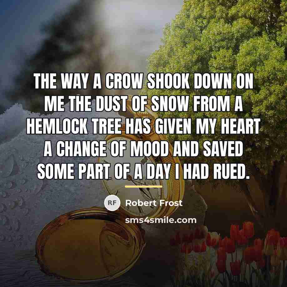 “The way a crow Shook down on me The dust…” quote by Robert Frost