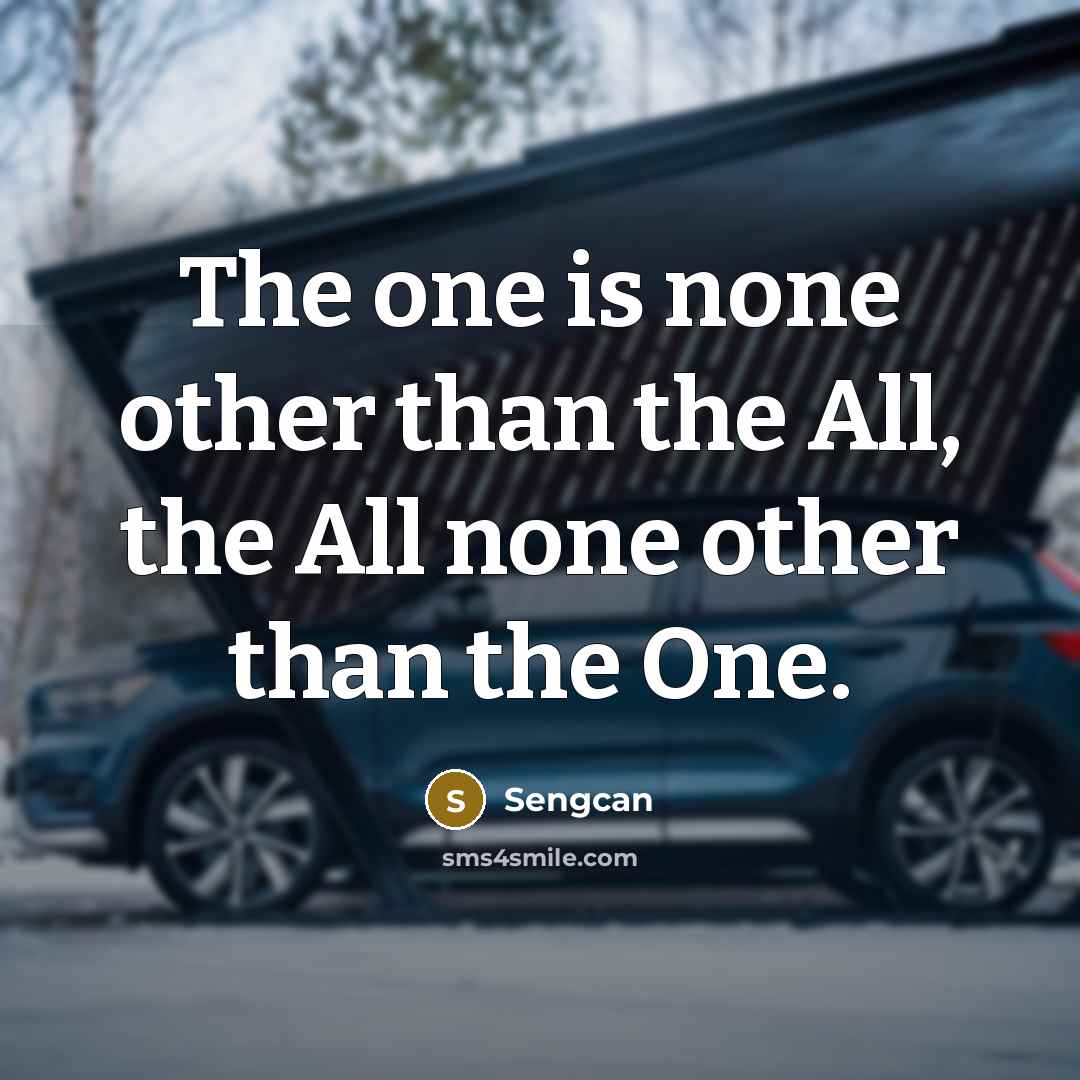 “The one is none other than the All, the All…” quote by Sengcan
