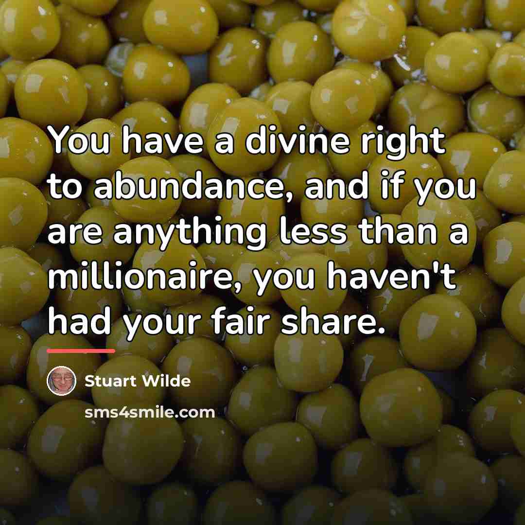 “You have a divine right to abundance, and if you…” quote by Stuart Wilde